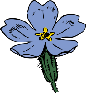 Primrose Bloom Clip Art